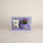 eRamis white teddy bear with purple hat and pink flower, next to a purple watering can with purple flowers.
